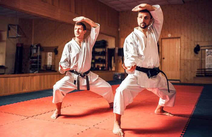 Could martial arts help actors handle the emotional toll of a role? Photo: Shutterstock
