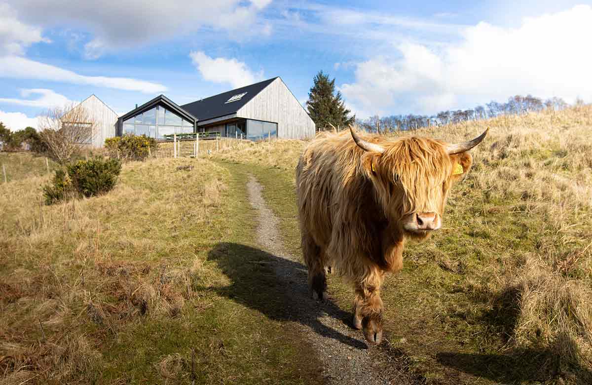 Changing the tune: the rural Scottish writing residency reinventing how musicals are made