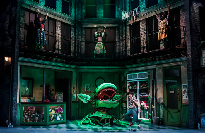 Scene from Little Shop of Horrors at Salisbury Playhouse. Photo: Richard Davenport