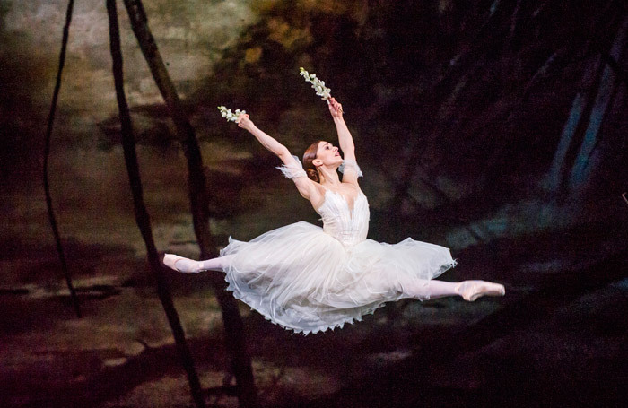 Marianela Nunez  in Giselle at Royal Opera House, London. Photo:
Tristram Kenton