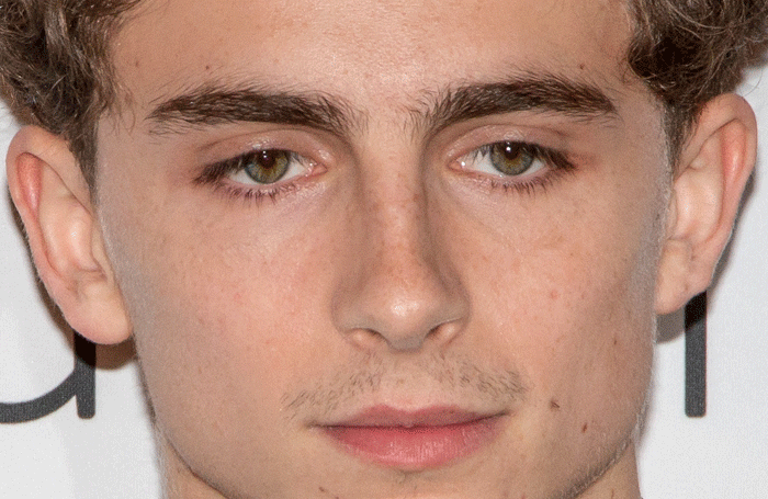 Timothée Chalamet