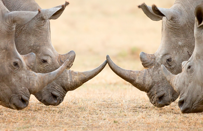 Heads almost butted at Salisbury Playhouse last week. Photo: Shutterstock