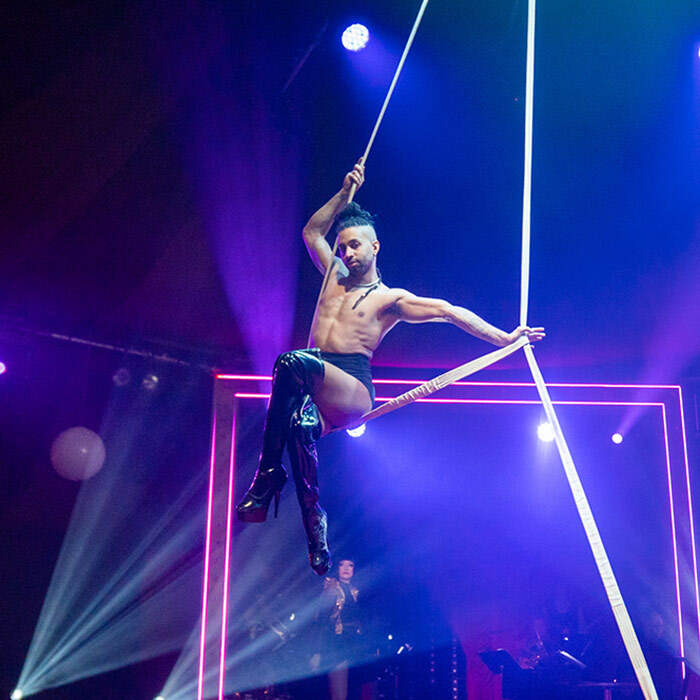 Circus revealed: Aerial Straps
