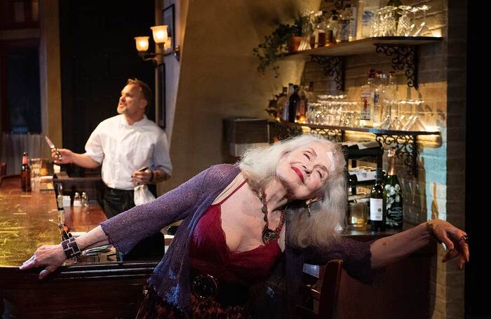 Mary Beth Peil (centre) and Norbert Leo Butz in Cornelia Street at Atlantic Stage 2, New York. Photo: Ahron R Foster