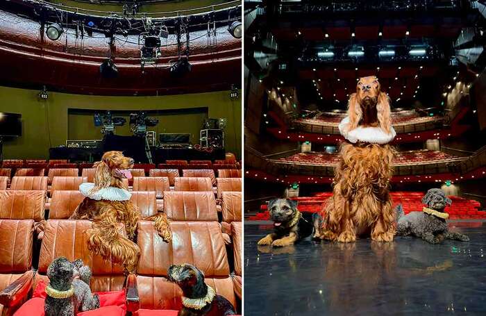 Heidi, Bella and Betty at the Royal Court and Sadler's Wells in London