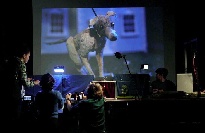 The cast of Bark Bark at Summerhall, Edinburgh